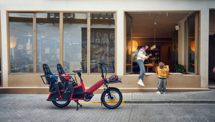 Riese & Müller Multitinker2