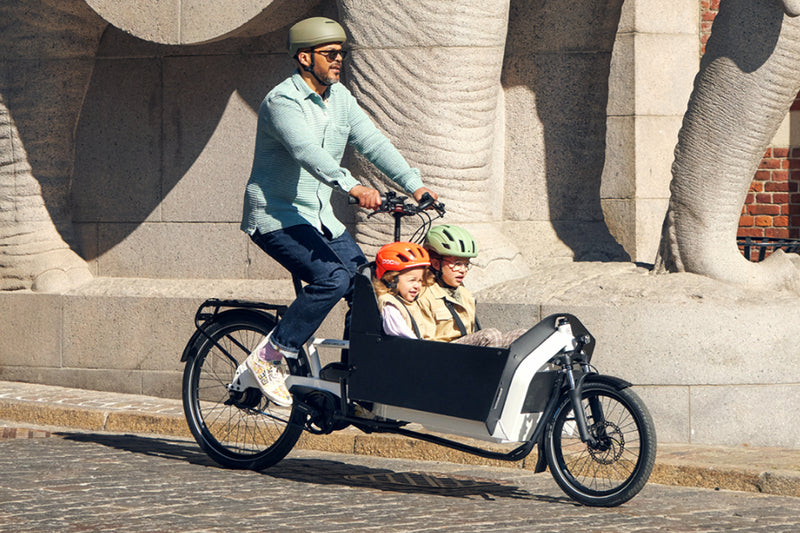 Last inn bildet i gallerivisningen, Riese &amp; Müller Transporter2 65 Vario Familie
