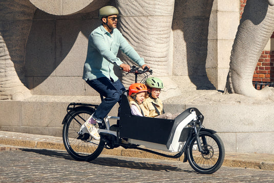 Riese & Müller Transporter2 65 Vario Familie