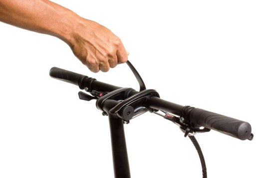 Tern: Andros stem